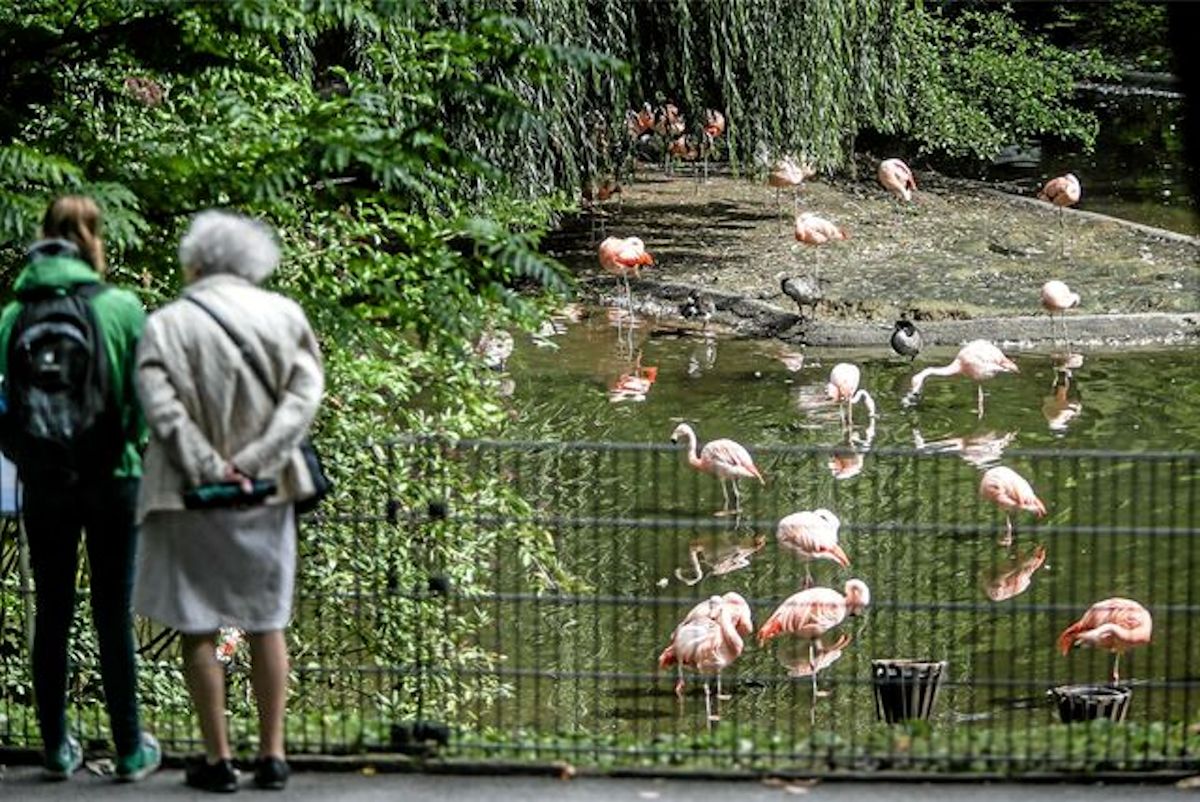 Der Dortmunder Zoo reagiert mit ersten Maßnahmen
