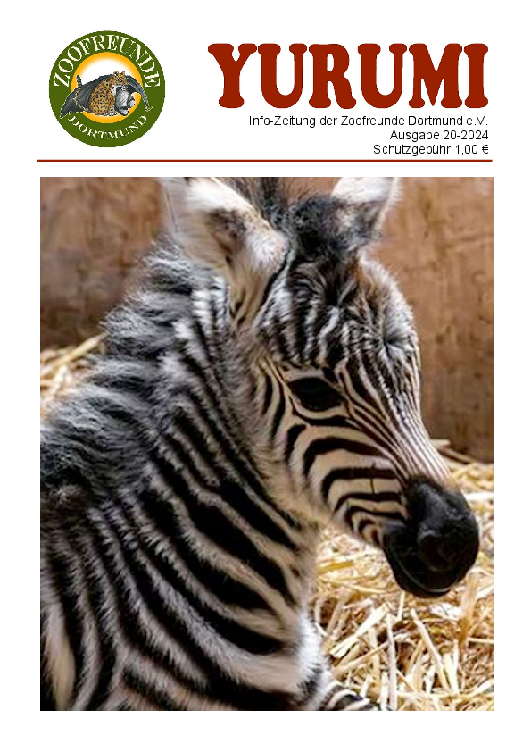 YURUMI-20-2024.pdf
