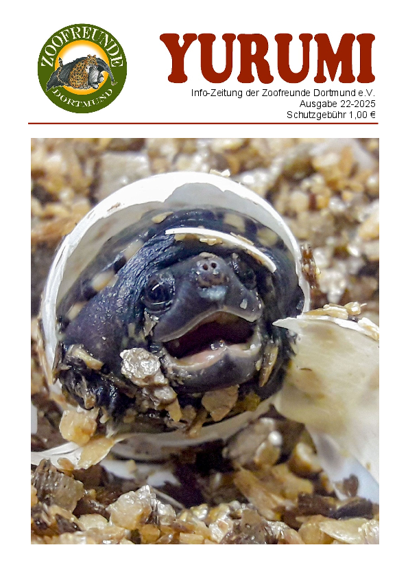 YURUMI-22-2025.pdf