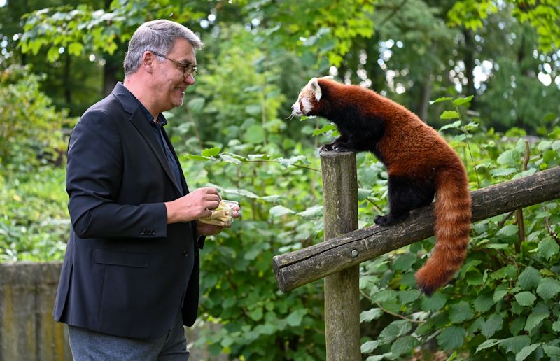 OB Westphal mit dem Kleinen Panda JingLing (Foto: Niklas Kähler)