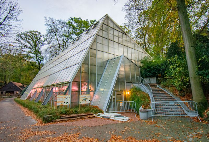 Amazonashaus im Zoo Dortmund (Bild: Marcel Stawinoga)